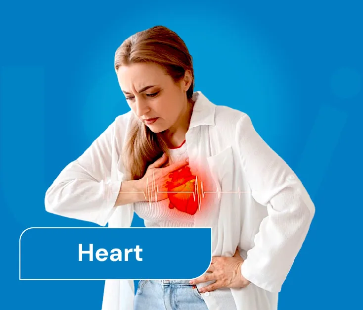 Heart